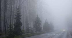 Cold wave in India: Winter sweeps J&K, Kargil coldest at minus 15 deg C