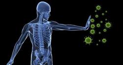 5 tips to boost your immune system this winter (Slide Show)