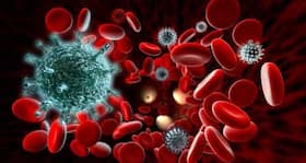 6 facts about immunity you didn't know
