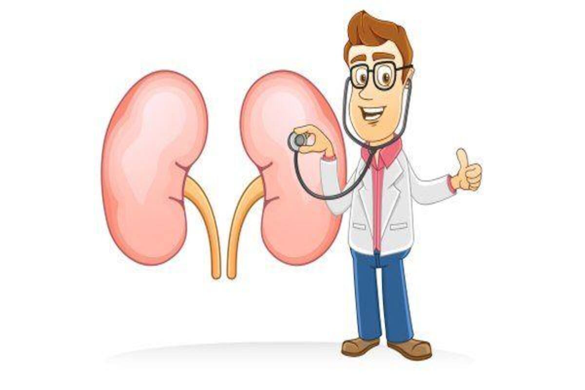 14 Signs Symptoms Of Kidney Disease You Should Not Ignore Thehealthsite Com Kidney cartoon 1 of 80. 14 signs symptoms of kidney disease