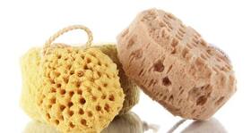Beauty tool of the day -- Loofah