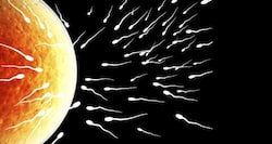 9 interesting facts about sperms you didn't know