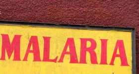 Are red blood cell traits responsible for your child's risk of malaria?