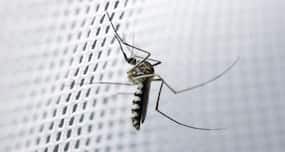 ICMR joins hands with SUN pharma to eradicate malaria