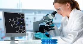 Scientists find out what helps the dengue virus spread faster