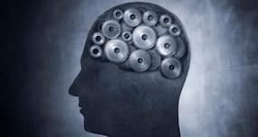 Brain stops working when we talk aloud: Study