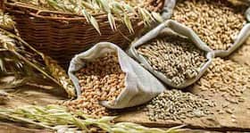 Diet Tip #42: Opt for foods low in glycemic index