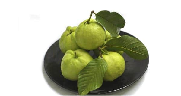 Use Guava Leaves To Beat Wrinkles Acne Dark Spots And Skin Allergies Thehealthsite Com So, how exactly can guava leaves promote hair growth in people who are experiencing hair loss? use guava leaves to beat wrinkles acne