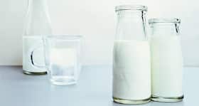 National Milk Day - Cow milk vs. buffalo milk