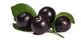 Can acai berries help you lose weight?