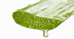 Make your own aloe vera gel for your skin type!