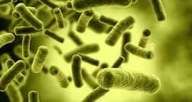 How small proteins neutralise bacterial toxins
