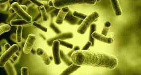 How small proteins neutralise bacterial toxins