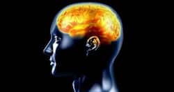 Say goodbye to age-related memory decline with cocoa!