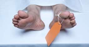 5 dead patients save lives of 23 others by donating organs