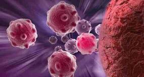 Upgraded endoscope to improve detection and treatment of cancer