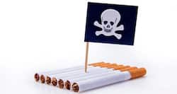 'Less toxic' tobacco comes closer to reality