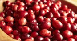 Cranberry juice can prevent bacterial infections and improve immunity