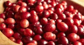 Cranberries may help beat urinary tract infections