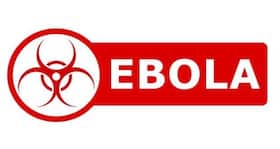 A supercomputer to offer more insights into the Ebola virus developed