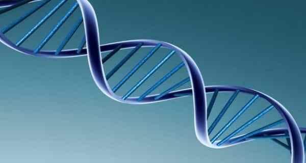 Gene decides why some kids develop serious problems as adults ...