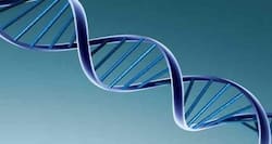 Do you have the genes to make yourself look young?