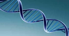 Japanese study identifies genes linked to peripheral artery disease