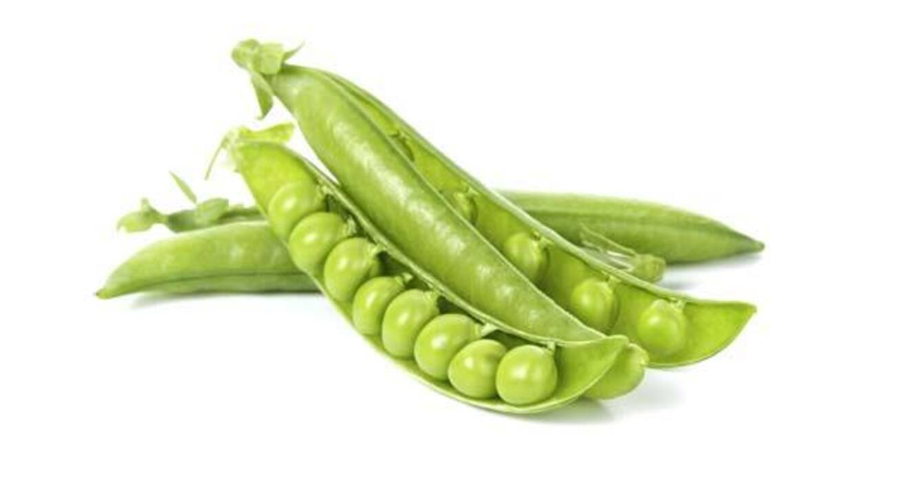 13 healthy green food items you need in your diet
