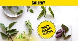 10 herbs with surprising health benefits