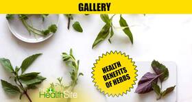 10 herbs with surprising health benefits