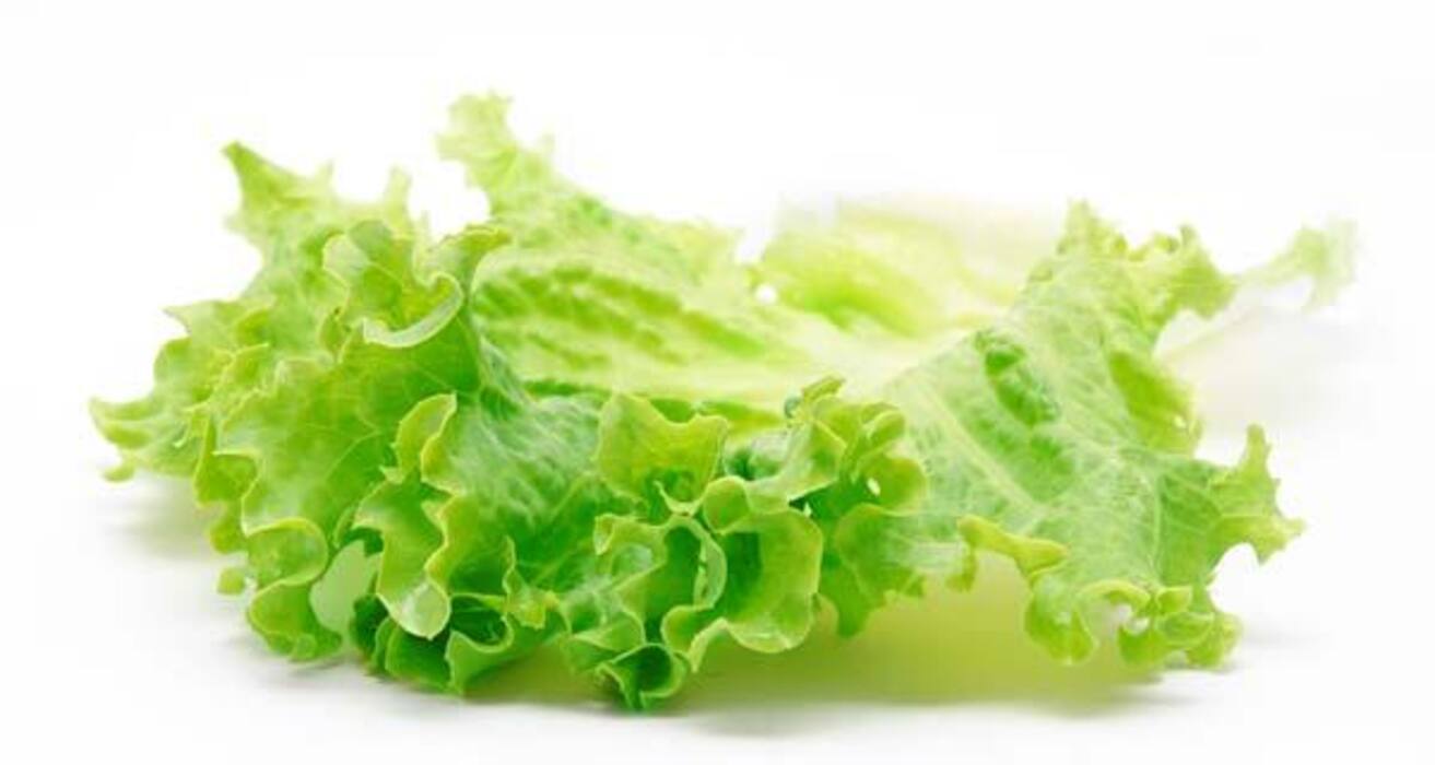 13 healthy green food items you need in your diet