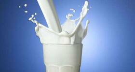 Is having just a glass of milk before working out in the morning okay?