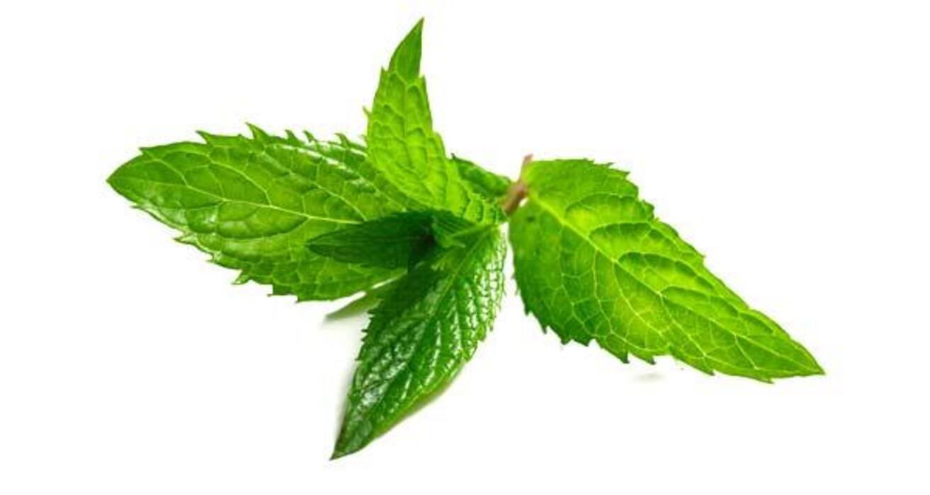 13 healthy green food items you need in your diet