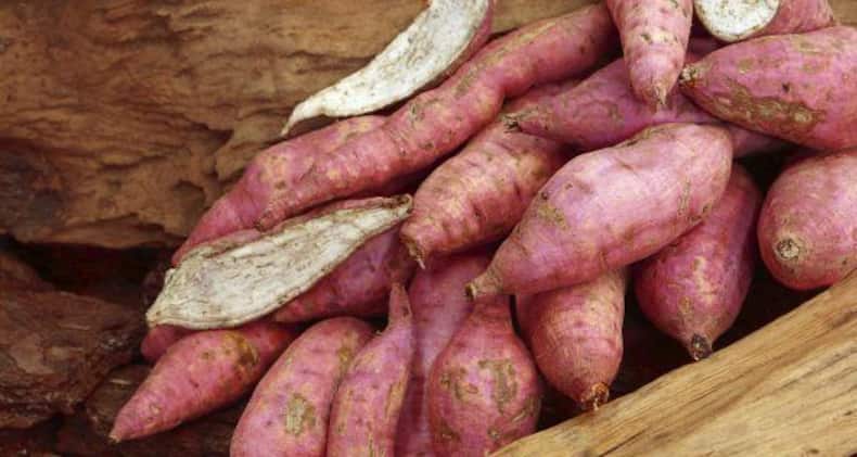 Pregnant? Don’t miss on these 8 wonder vegetables