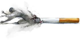 Smoking can affect your DNA for more than 30 years even after you quit Smoking can affect your DNA for more than 30 years even after you quit
