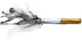 Lung cancer awareness month--Smoking is the biggest killer