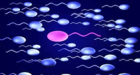 Protect your teenager from pesticide exposure to safeguard his fertility later in life!