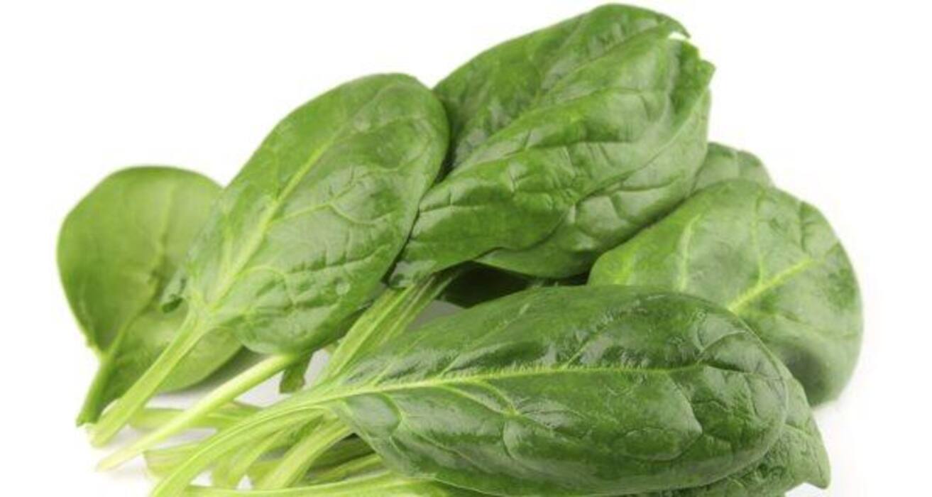 13 healthy green food items you need in your diet