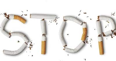 ted tobacco coupon ted tobacco discount code Unlock Savings with PIPES and CIGARS Promo Codes  & Coupons!