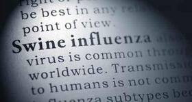 Telangana and Andhra Pradesh report cases of Swine flu Telangana and Andhra Pradesh report cases of Swine flu