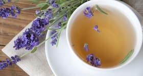 6 lesser-known benefits of lavender oil for your skin and hair