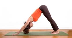 5 best yoga poses for a strong immune system