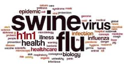 Swine Flu in India: 8 deaths reported in Odisha