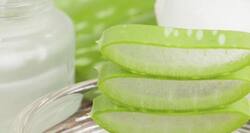 Aloe vera juice -- home remedy for quick weight loss!