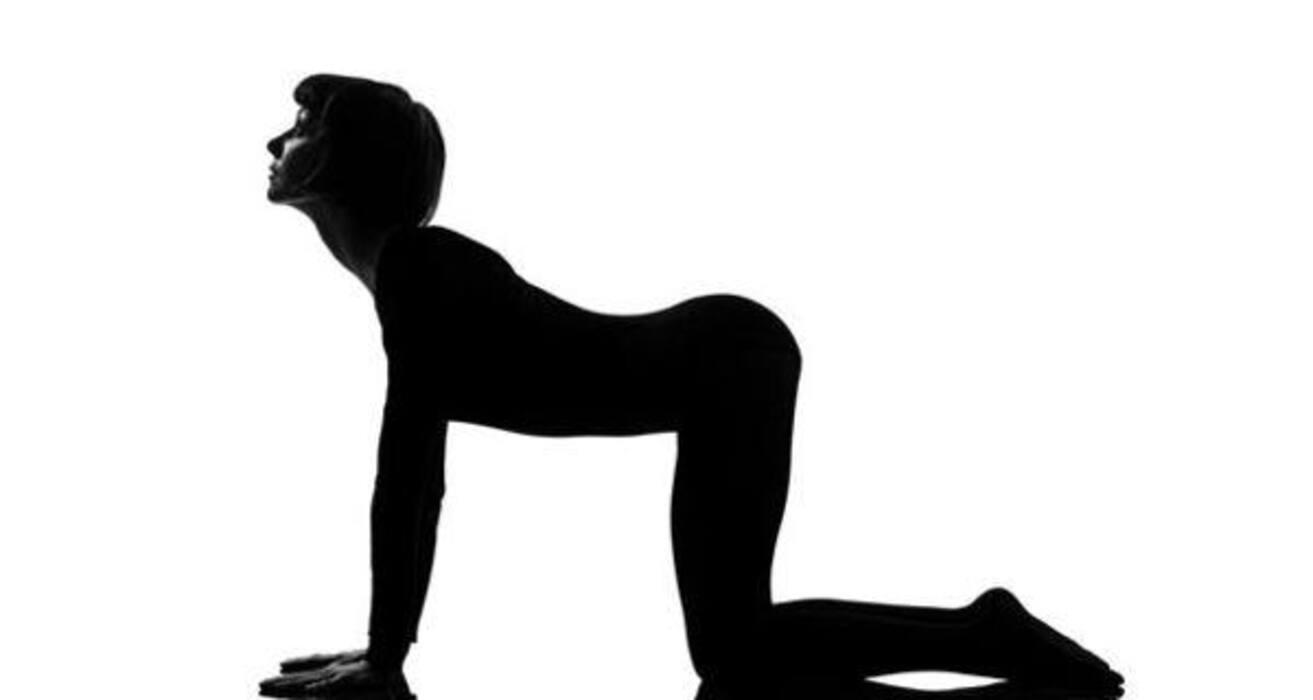 10 yoga poses for beginners!