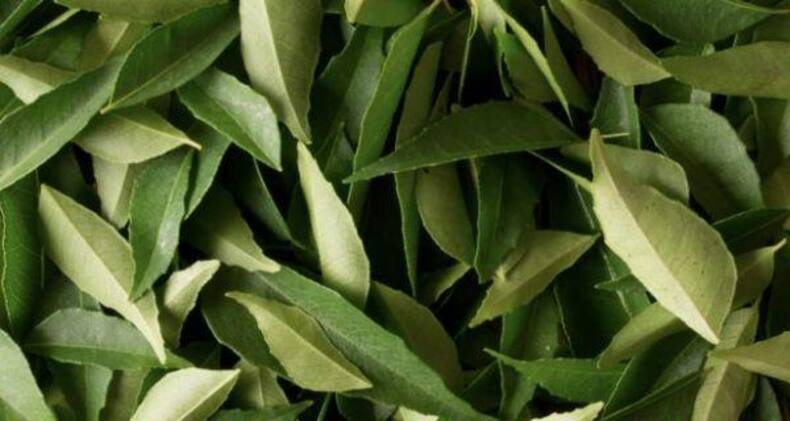 6 Indian spices for weight loss