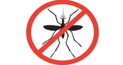 New 'malaria-in-a-dish' method to aid better treatment of disease