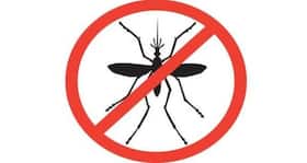 New wave of anti-malarial drugs is on its way