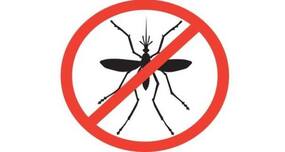 3 African nations to get world's first malaria vaccine