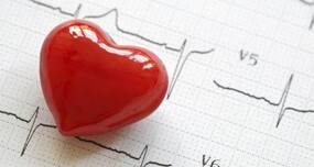 Developed mini-heart will replace animal models that do not mimic human responses